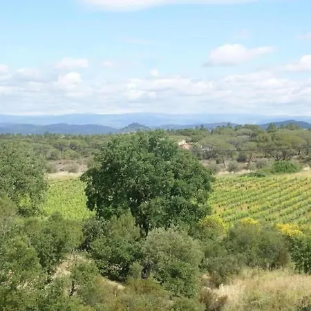 Polau On The Edge Of The Woods Holiday home *