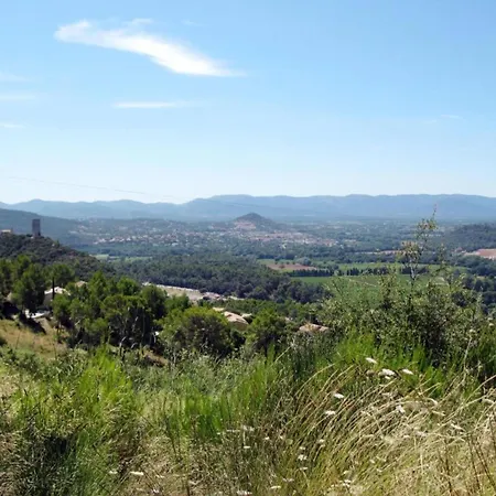 Polau On The Edge Of The Woods